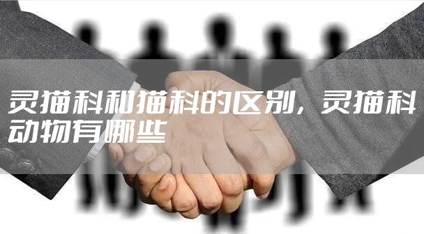 灵猫科和猫科的区别，灵猫科动物有哪些