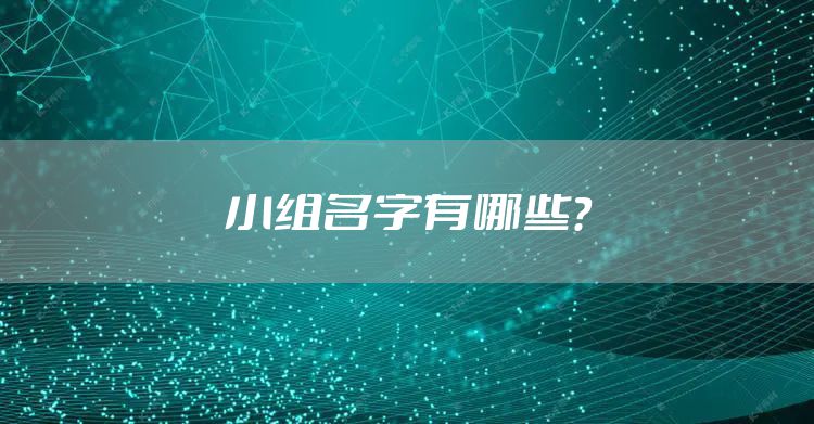 小组名字有哪些？