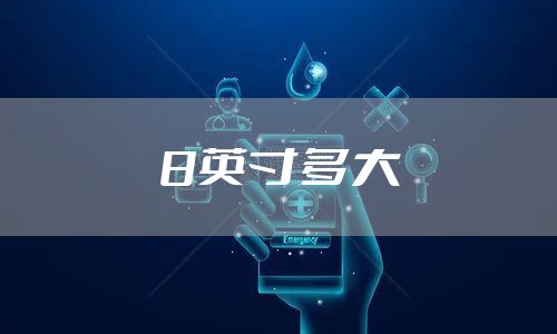 8英寸多大