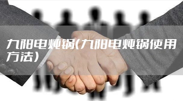 九阳电炖锅（九阳电炖锅使用方法）