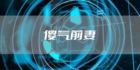 傻气前妻