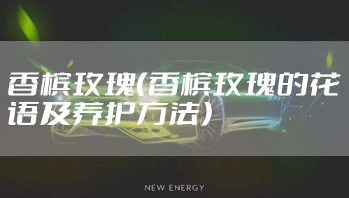香槟玫瑰（香槟玫瑰的花语及养护方法）