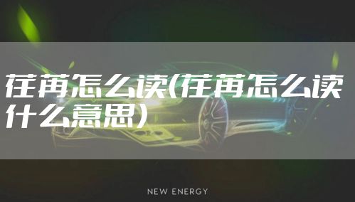 荏苒怎么读（荏苒怎么读 什么意思）