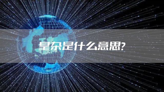 皇杂是什么意思?