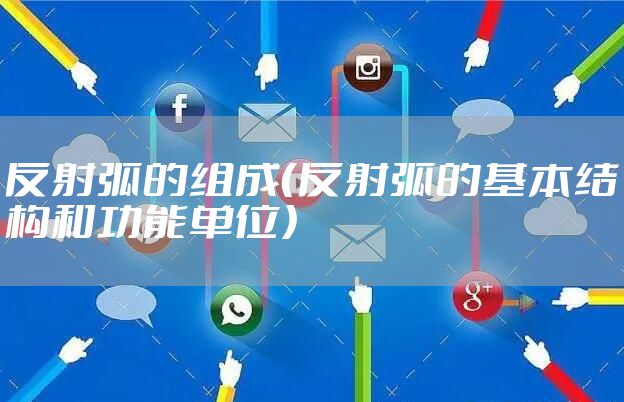 反射弧的组成（反射弧的基本结构和功能单位）