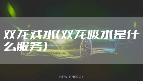 双龙戏水（双龙吸水是什么服务）