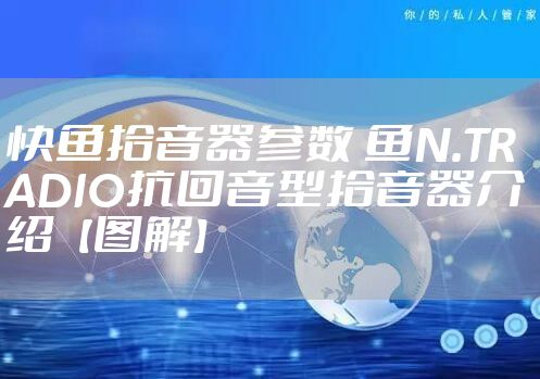 快鱼拾音器参数 鱼N.TRADIO抗回音型拾音器介绍【图解】
