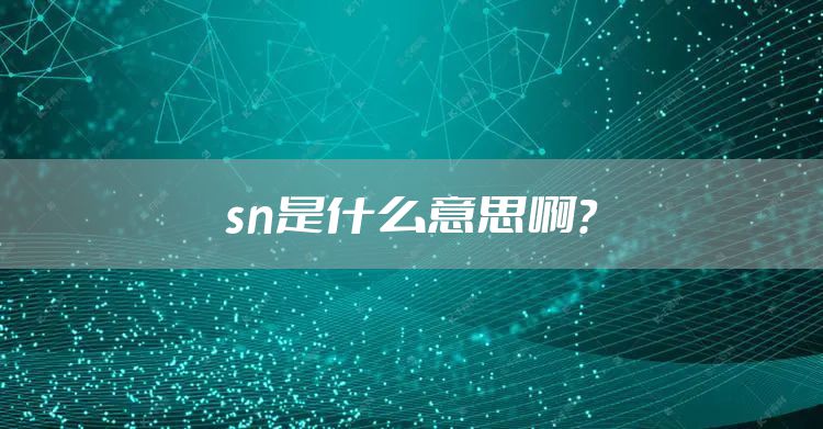 sn是什么意思啊？