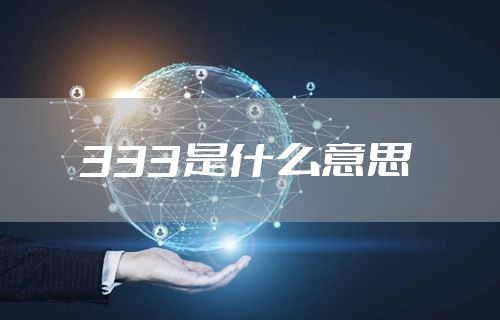 333是什么意思