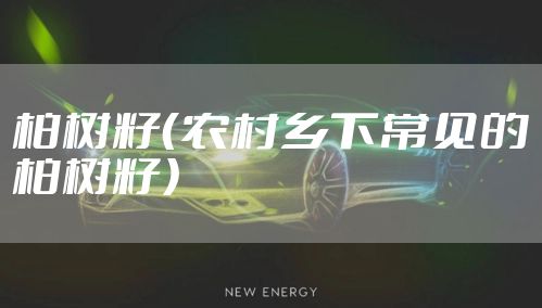 柏树籽（农村乡下常见的柏树籽）