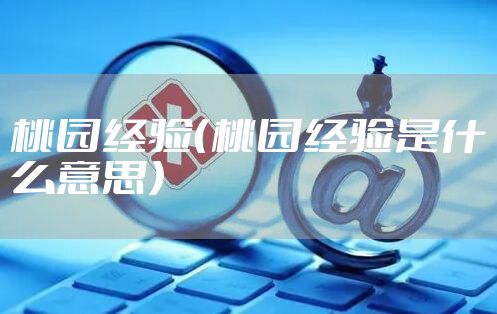 桃园经验（桃园经验是什么意思）