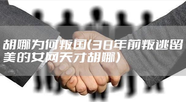 胡娜为何叛国（38年前叛逃留美的女网天才胡娜）