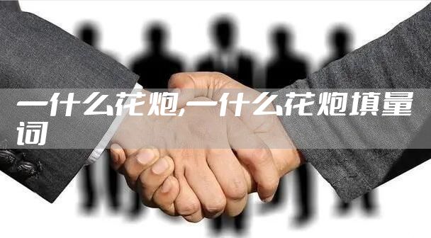 一什么花炮,一什么花炮填量词