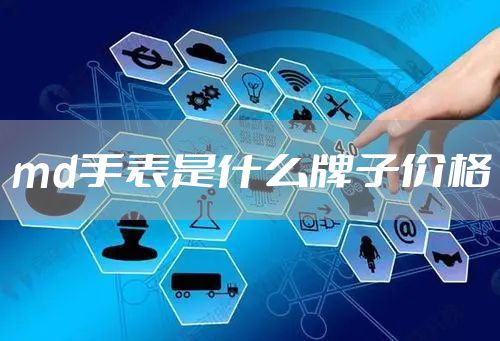 md手表是什么牌子价格