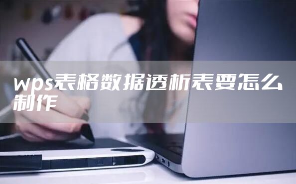 wps表格数据透析表要怎么制作