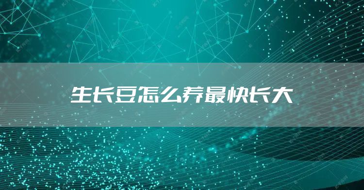 生长豆怎么养最快长大