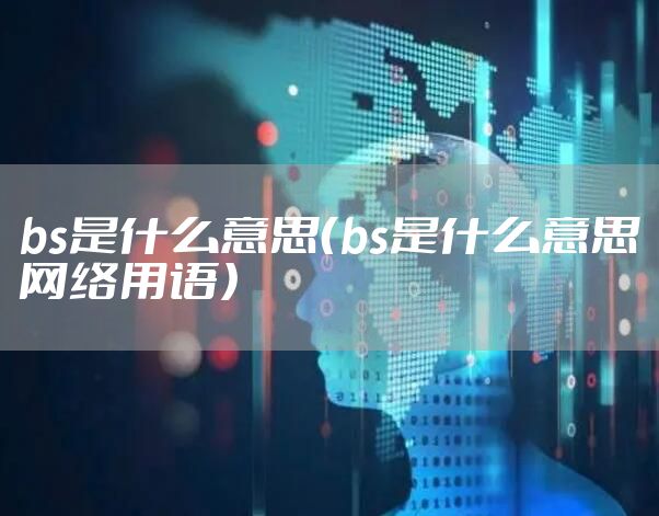 bs是什么意思（bs是什么意思网络用语）