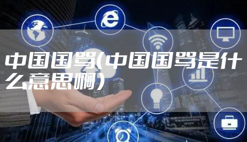 中国国骂（中国国骂是什么意思啊）