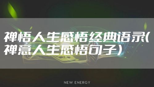 禅悟人生感悟经典语录（禅意人生感悟句子）