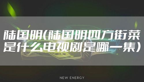 陆国明（陆国明四方街菜是什么电视剧是哪一集）