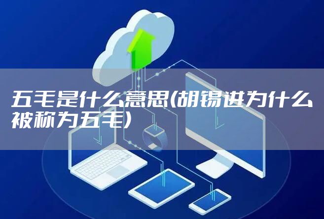 五毛是什么意思(胡锡进为什么被称为五毛)