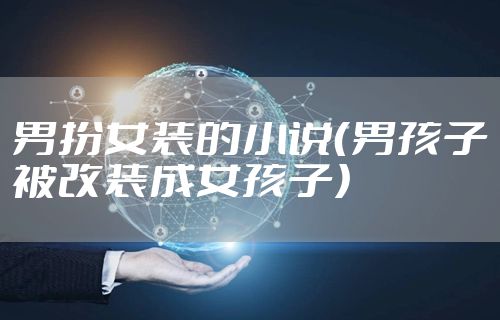 男扮女装的小说（男孩子被改装成女孩子）