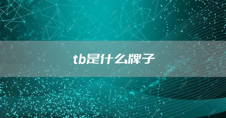 tb是什么牌子