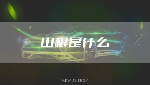 山根是什么