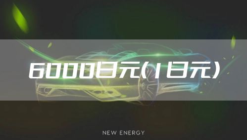 6000日元（1日元）