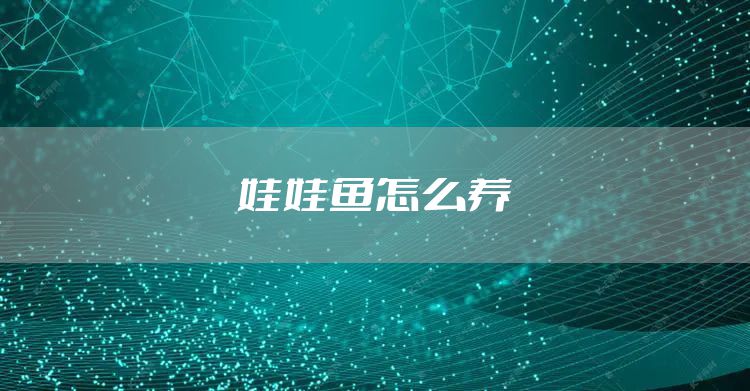 娃娃鱼怎么养