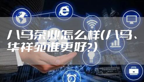 八马茶业怎么样（八马、华祥苑谁更好？）