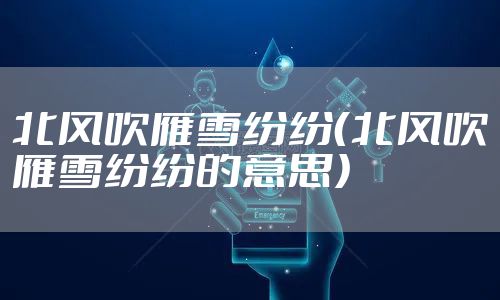 北风吹雁雪纷纷（北风吹雁雪纷纷的意思）