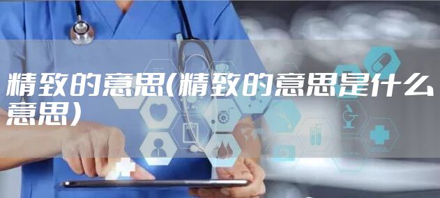精致的意思（精致的意思是什么意思）
