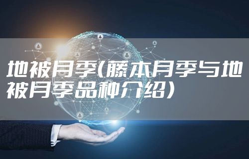 地被月季（藤本月季与地被月季品种介绍）