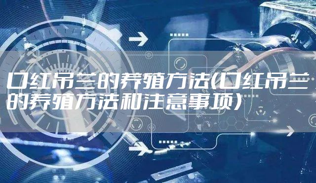 口红吊兰的养殖方法（口红吊兰的养殖方法和注意事项）