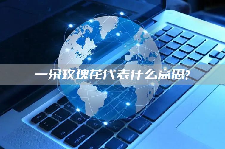 一朵玫瑰花代表什么意思？