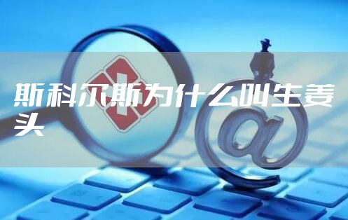 斯科尔斯为什么叫生姜头