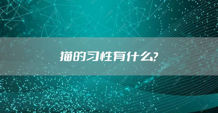 猫的习性有什么？