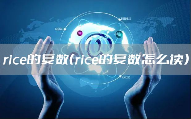 rice的复数（rice的复数怎么读）