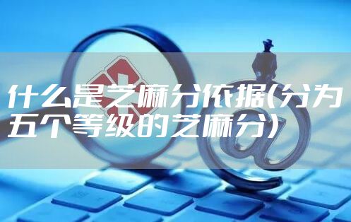 什么是芝麻分依据（分为五个等级的芝麻分）