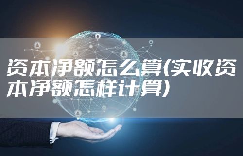 资本净额怎么算(实收资本净额怎样计算)