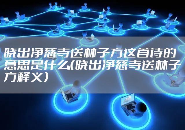 晓出净慈寺送林子方这首诗的意思是什么（晓出净慈寺送林子方释义）