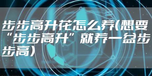 步步高升花怎么养（想要“步步高升”就养一盆步步高）