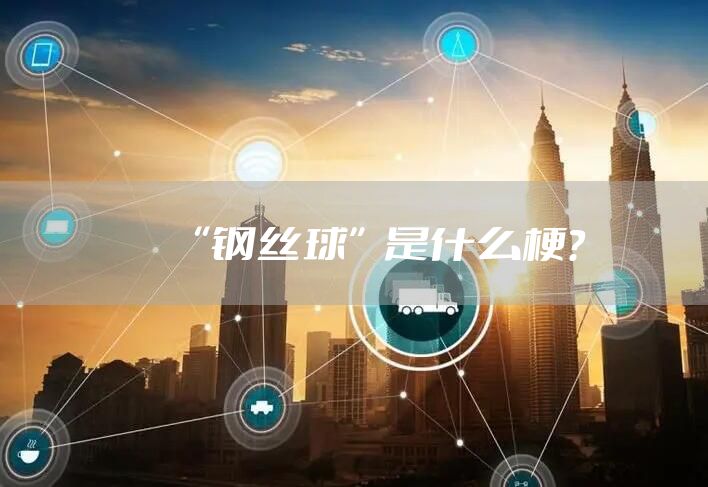“钢丝球”是什么梗？