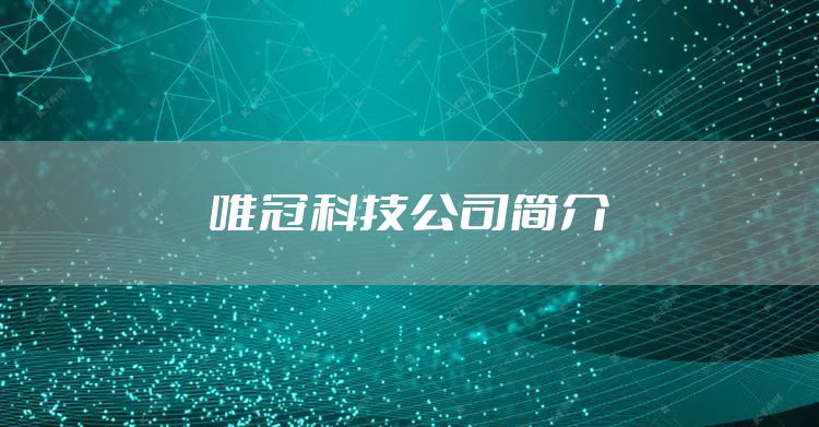 唯冠科技公司简介