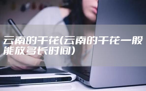 云南的干花（云南的干花一般能放多长时间）