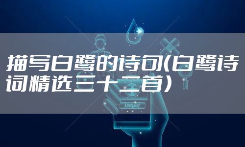 描写白鹭的诗句（白鹭诗词精选三十二首）