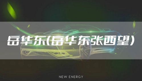 岳华东（岳华东张西望）