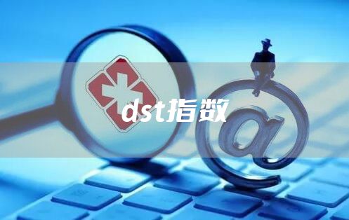 dst指数