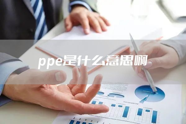 ppe是什么意思啊